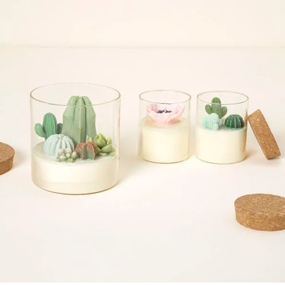 💥BUY 5 GET 3 FREE  Terrarium Candle CACTUS, Originally $27.00 - Picture 3 of 9